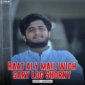 Adeel Sanwal - Raat Aly Mail Wich Sary Log Shorny