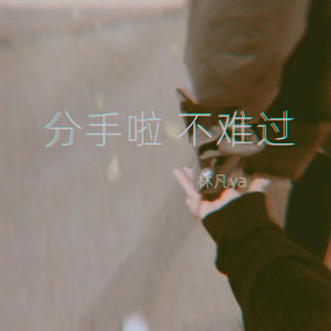 林凡ya - 分手啦 不难过