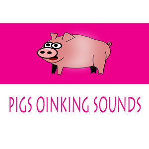 Fladrif White Noise - Pigs Oinking Sounds