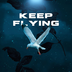 Keep Flying by Remediqs