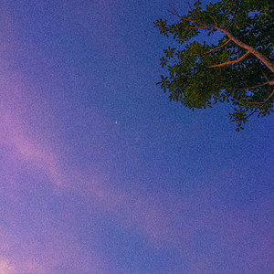 I Was Dreaming by L E O V I