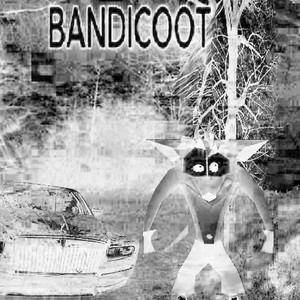 BANDICOOT SLOWED by HELLRAISER