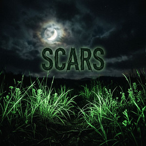 Scars by apriltwentynineth2010, The Flamingo