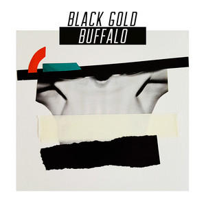 Black Gold Buffalo cover