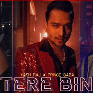 TERE BIN