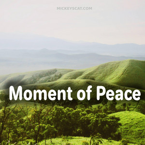 Moment of Peace by MickeysCat