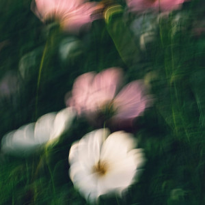 kath by hirte