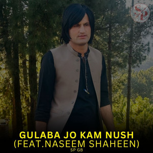 Sp Gb - Gulaba Jo Kam Nush (feat. Naseem Shaheen)