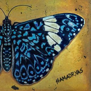 ADVERTENCIA DE LIBERTAD by Hamadryas