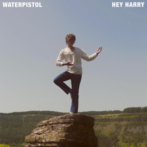 Hey Harry by Waterpistol