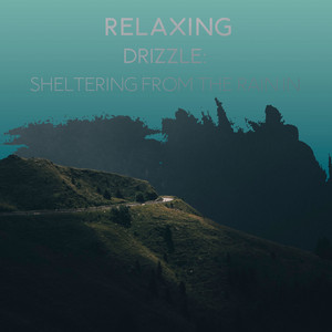 zZz Relaxing Drizzle: Sheltering from the Rain in the Forest zZz album