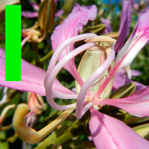 One More Fluorescent Rush by Avalon Emerson