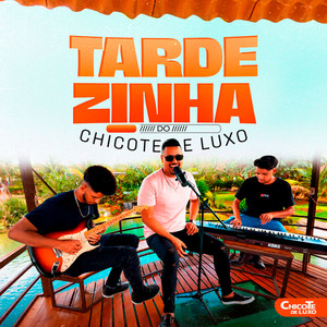 Tô Xonado Sem Quantia - Ao Vivo by Forrozão Chicote D' Luxo