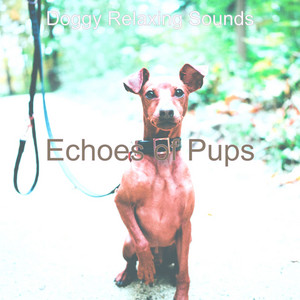 Echoes of Pups album