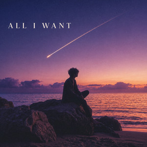 All I Want by Palmero