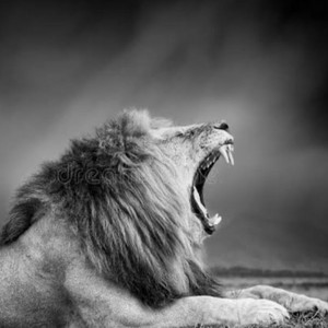 klok pah by Dj Lion cm