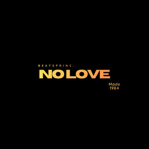 NO LOVE by Noray music