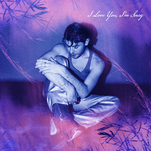 I Love You, I'm Sorry