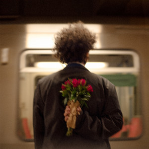 Rosen in der Bahn by semia