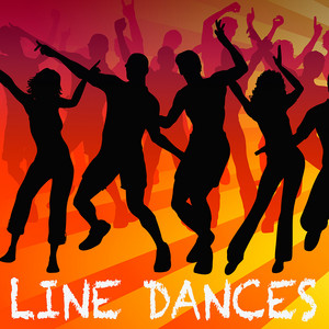 Hokey Pokey by Line Dances