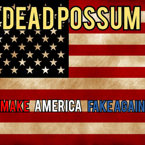 Dead possum - Insecurity's at an All Time High