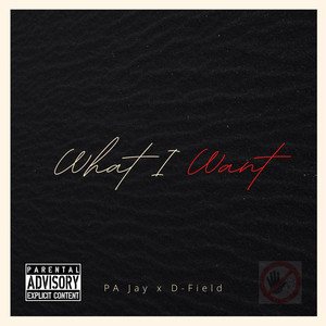 What I Want by D-Field, PA Jay