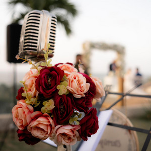 La Vie En Rose (English Version)