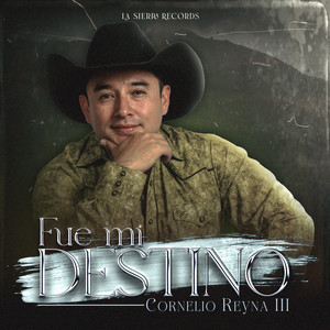 Fue Mi Destino