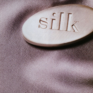 Remember Me by Silk