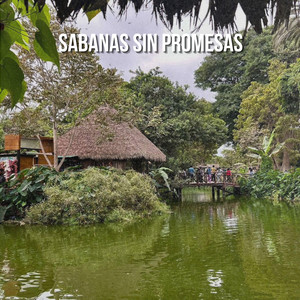 Sabanas sin Promesas by Nicolas Rey