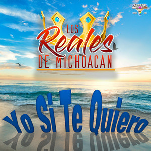 Un Dia Nublado by Los Reales De Michoacan