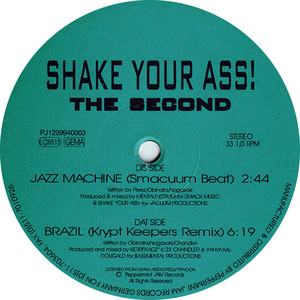 Shake Your Ass cover