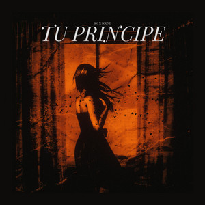 Tu principe by Big x sound