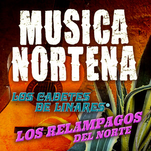Musica Nortena - Compilation by Various Artists | Spotify