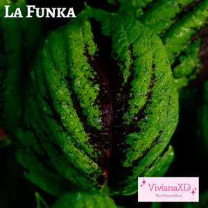 La Funka by VivianaXD