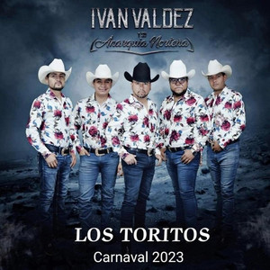 Ivan Valdez y su Anarquía Norteña - Los Toritos Carnaval 2023 (feat. Banda La 11 Vientos)