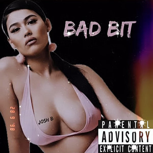 Bad Bit