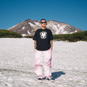 奮闘中 (JA.Ver) - song and lyrics by Chouji | Spotify