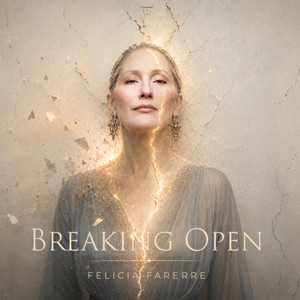 Breaking Open by Felicia Farerre