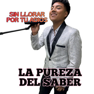 SIN LLORAR POR TU ADIOS by LA PUREZA DEL SABER