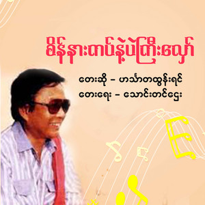 Hinthada Tun Yin - Sein Nakat Nae Palkyi Hlaw