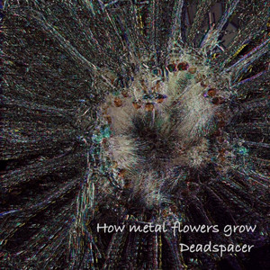 Deadspacer — How metal flowers grow