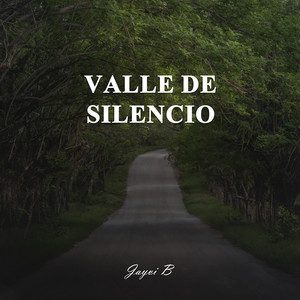 Valley of Silence - Acoustic by Dj Jayvi B
