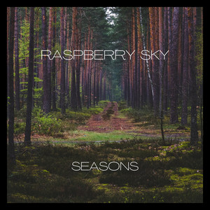 Seasons - Instrumental by Raspberry Sky