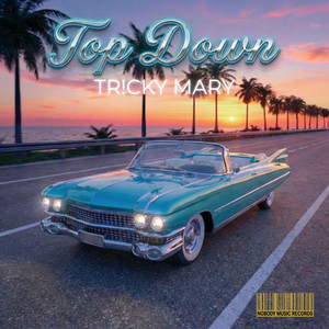 Top Down by Tricky Mary