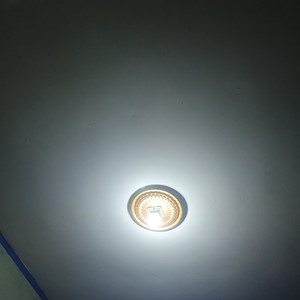 DHAMANI ALTAF - Blooming Beautiful