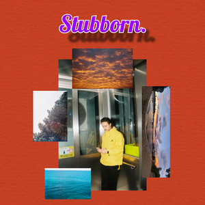 Portada de stubborn.