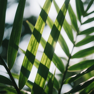 KIM DAVID34 - เพื่อนๆเจ้าของ