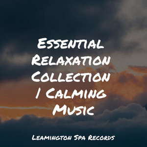 Essential Relaxation Collection | Calming Music album