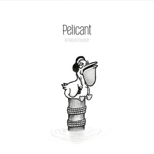 Pelicant